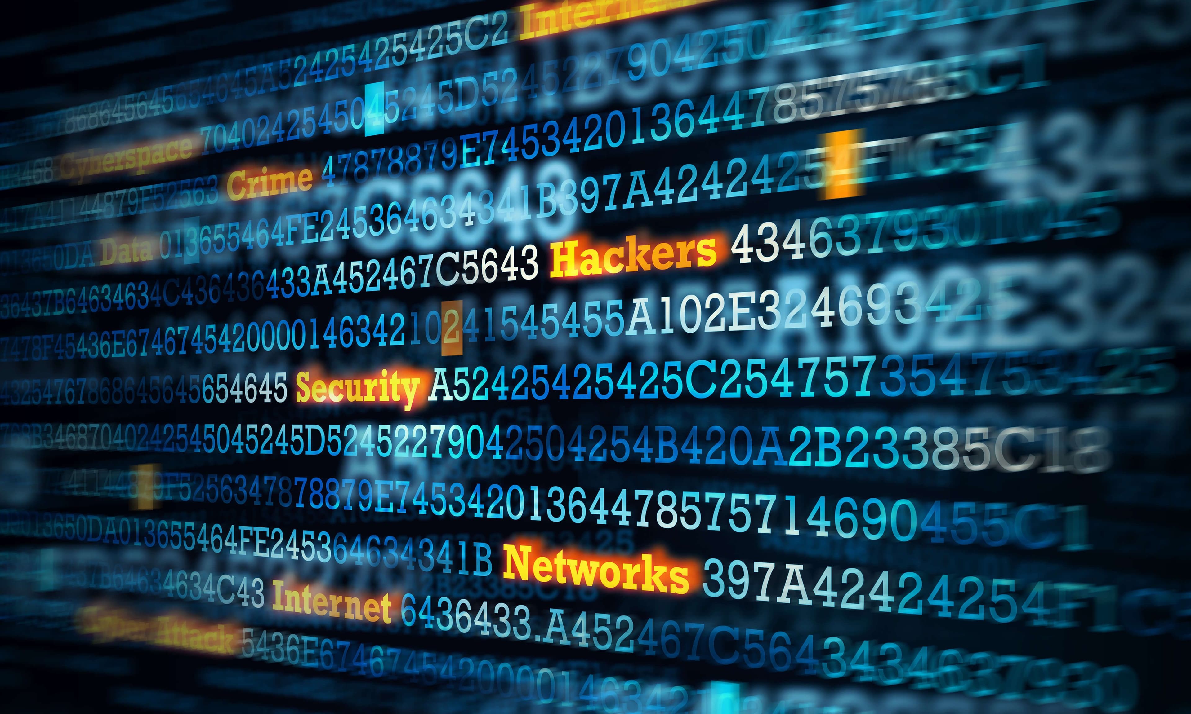 SBOM Challenge - Day Two