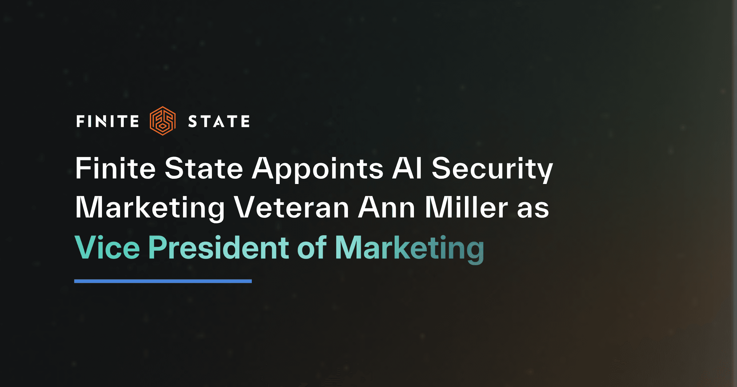 Ann Miller Finite State Vice President Marketing