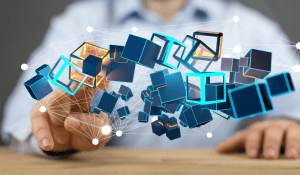 Open Source Risk: Plugging the Hole